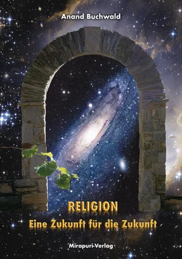 Anand Buchwald Religion – Eine Zukunft für die Zukunft обложка книги