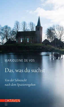 Marjoleine de Vos Das, was du suchst обложка книги