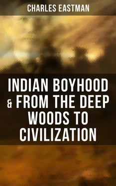 Charles Eastman Indian Boyhood & From the Deep Woods to Civilization обложка книги