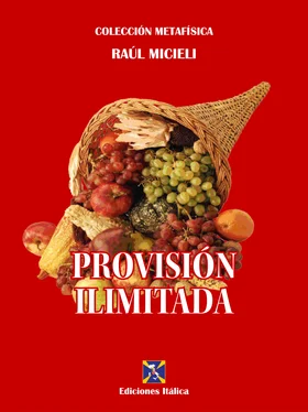 Raúl Micieli Provisión Ilimitada обложка книги