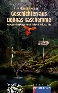 Monika Niehaus GESCHICHTEN AUS DONNAS KASCHEMME обложка книги