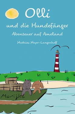 Mathias Meyer-Langenhoff Olli und die Hundefänger обложка книги