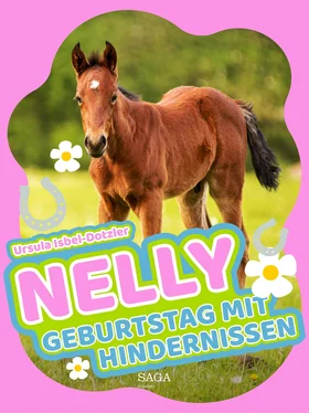 Ursula Isbel-Dotzler Nelly - Geburtstag mit Hindernissen обложка книги