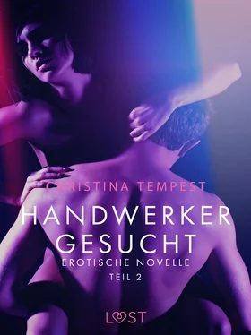 Christina Tempest Handwerker gesucht - Teil 2: Erotische Novelle обложка книги