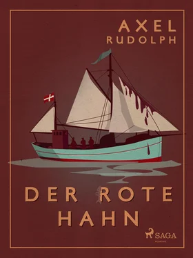 Axel Rudolph Der rote Hahn обложка книги