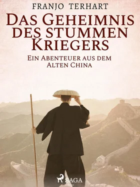 Franjo Terhart Das Geheimnis des stummen Kriegers - Ein Abenteuer aus dem alten China обложка книги