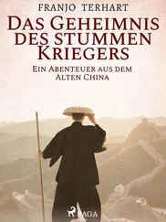 Franjo Terhart - Das Geheimnis des stummen Kriegers - Ein Abenteuer aus dem alten China