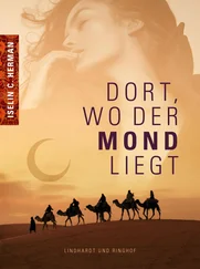 Iselin C. Hermann - Dort, wo der Mond liegt