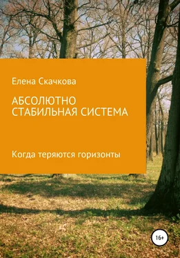 Елена Скачкова Абсолютно стабильная система обложка книги
