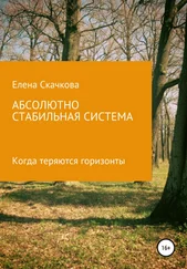 Елена Скачкова - Абсолютно стабильная система