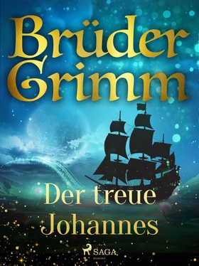 Brüder Grimm Der treue Johannes обложка книги