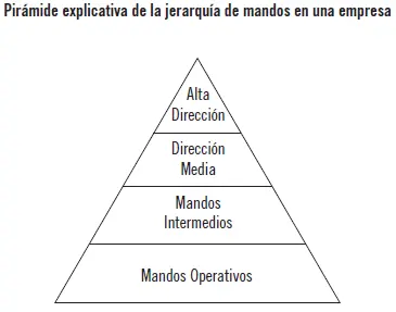 42Personalidad y comportamiento del directivo Temperamento Hay una serie de - фото 70