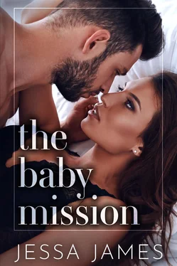 Jessa James The Baby Mission обложка книги