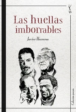 Javier Herreros Las huellas imborrables обложка книги