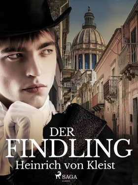 Heinrich von Der Findling обложка книги