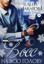Елена Макарова - Босс на всю голову