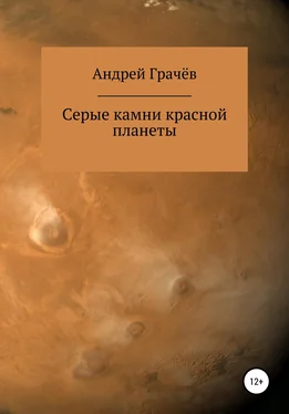 Андрей Грачёв Серые камни красной планеты обложка книги