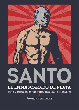 Álvaro Arturo Fernández Reyes Santo. El enmascarado de plata обложка книги