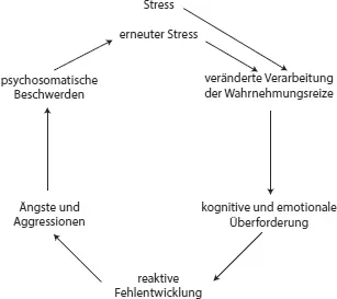 Abb 22 DauerstressSpirale die bei gleichzeitigem Vorhandensein einer - фото 3