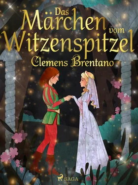 Clemens Brentano Das Märchen vom Witzenspitzel обложка книги
