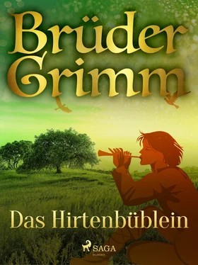 Brüder Grimm Das Hirtenbüblein обложка книги