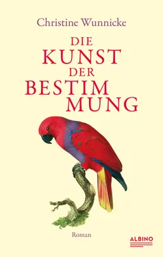 Christine Wunnicke Die Kunst der Bestimmung обложка книги