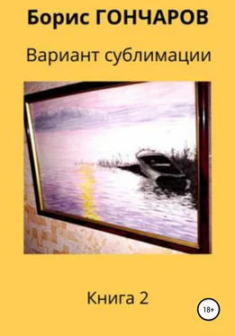 Борис Гончаров Вариант сублимации Книга 2 обложка книги