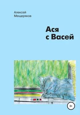 Алексей Мещеряков Ася с Васей обложка книги