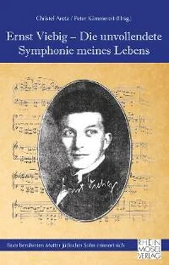 Неизвестный Автор Ernst Viebig - Die unvollendete Symphonie meines Lebens обложка книги