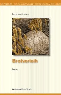 Franz von Stockert Brotverleih обложка книги