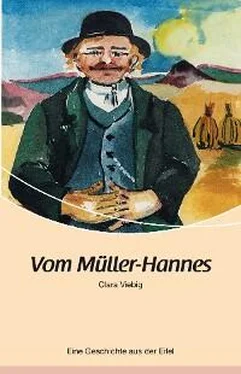 Clara Viebig Vom Müller-Hannes обложка книги