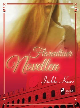 Isolde Kurz Florentiner Novellen обложка книги