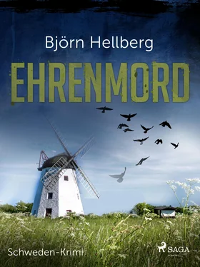 Björn Hellberg Ehrenmord - Schweden-Krimi обложка книги