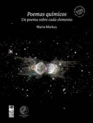 Mario Markus Kaplán - Poemas químicos
