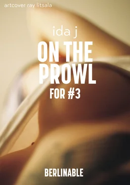 Ida J On the Prowl (for #3) обложка книги