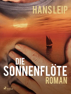 Hans Leip Die Sonnenflöte обложка книги