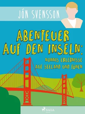 Jón Svensson Abenteuer auf den Inseln: Nonnis Erlebnisse auf Seeland und Fünen обложка книги