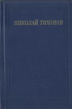 Николай Тихонов Стихотворения и поэмы обложка книги