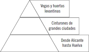 Así como también las Islas Canarias De importancia es la zona desde Alicante a - фото 39