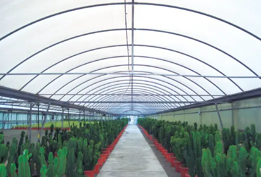 Invernadero tipo túnel Nota La superficie de cultivo es menor porque - фото 46