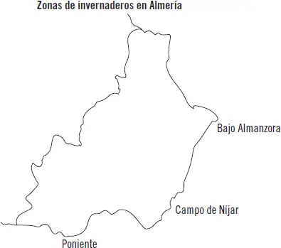 82 Tipos dimensiones y materiales empleados Los invernaderos los podemos - фото 42