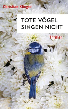 Christian Klinger Tote Vögel singen nicht обложка книги