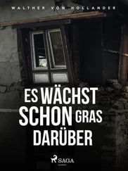 Walther von Hollander - Es wächst schon Gras darüber