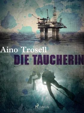 Aino Trosell Die Taucherin обложка книги