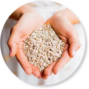 SOULFOOD Lebensmittel die glücklich machen OMEGA3haltige Lebensmittel - фото 6