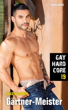 Max Wildrath Gay Hardcore 19: Gärtner-Meister обложка книги