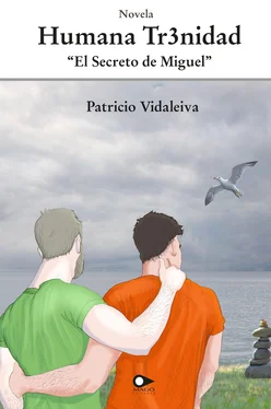 Patricio Vidaleiva Humana Trinidad обложка книги