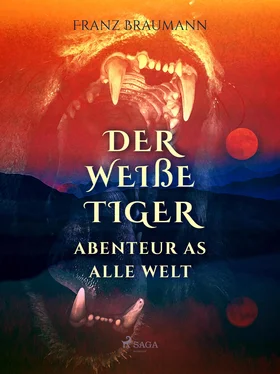 Franz Braumann Der weiße Tiger - Abenteuer aus aller Welt обложка книги