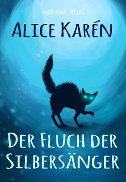 Alice Karén Der Fluch der Silbersänger обложка книги