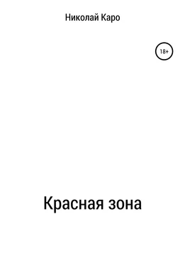 Николай Каро Красная зона обложка книги